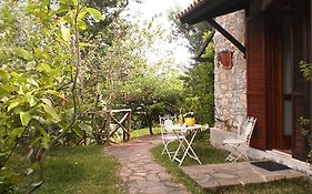 La Gabbianella e il Gatto
